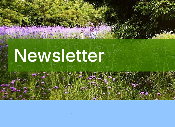 Aktuálne informácie dostupné aj prostredníctvom nového vydania newslettra