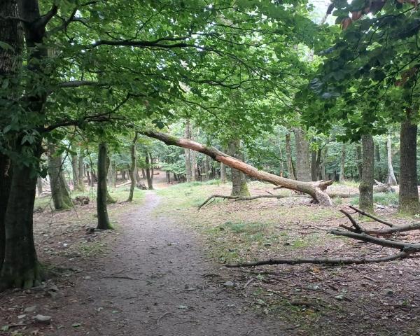 Klimatická odolnosť ako dôležitá súčasť obrany štátu
