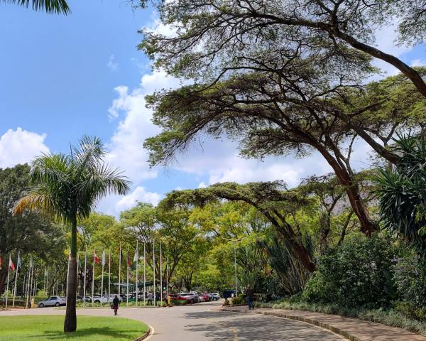 OSN hodnotí globálny pokrok v klimatických politikách