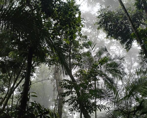 Európsky rámec pre klimatickú odolnosť a riadenie rizík: možnosť zapojiť sa do verejnej konzultácie