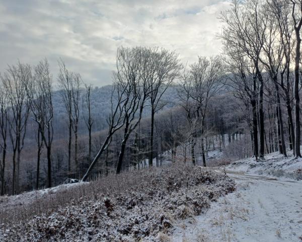 Nové podcasty a séria vzdelávacích videí o adaptácii na zmenu klímy