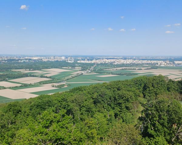 Projekcie vývoja európskeho poľnohospodárstva do roku 2035