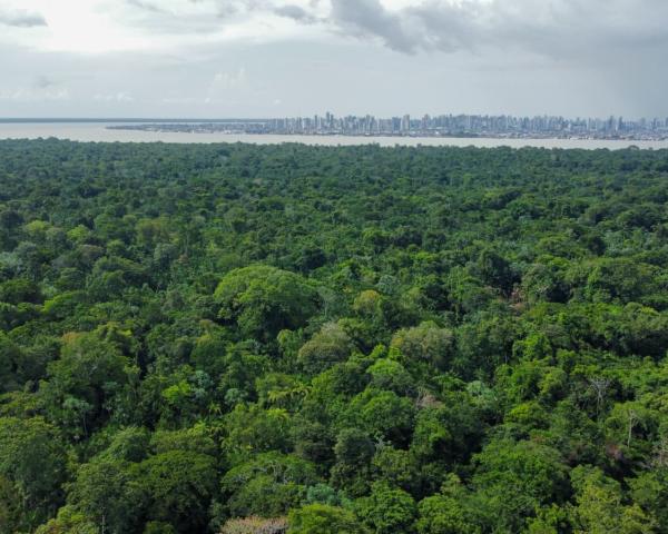 Vláda SR vzala na vedomie informatívny materiál o výsledkoch COP30