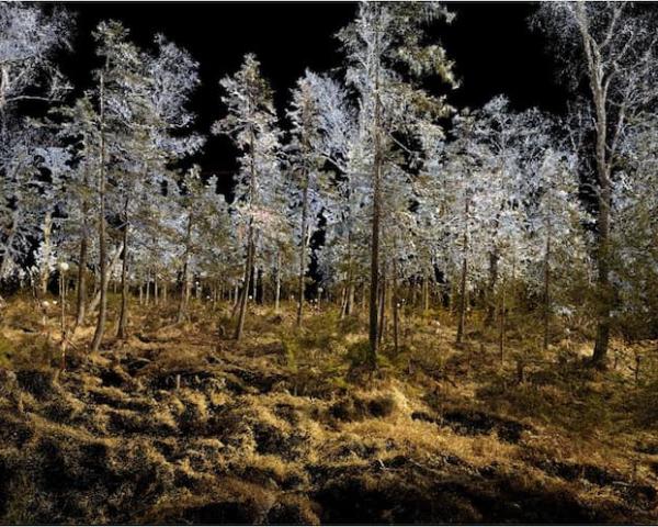 SAV: Klimatická kríza ohrozuje zásoby uhlíka v pôde